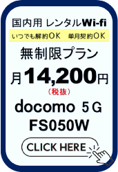 �����^��Wi-fi docomo  5G FS050W �������v���� ���ł����OK �f�[�^�l�b�g���[�N�T�[�r�X �Z���_��OK
